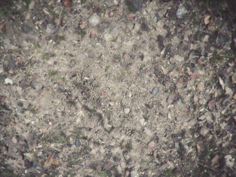 LNB Failure Causes: Weather, Moisture and Power Surges